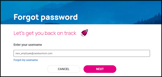 reset_password_003